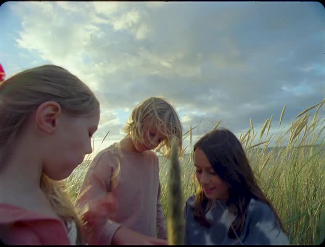 Children play in the reeds on the beach