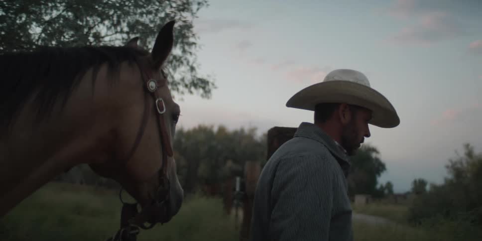 Man walking through a field with a horse