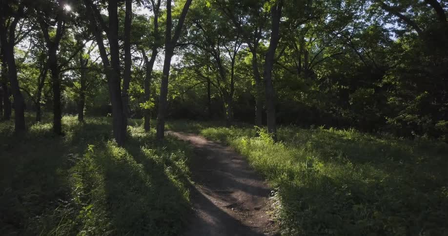 A dirt path winds through a grassy and forested area