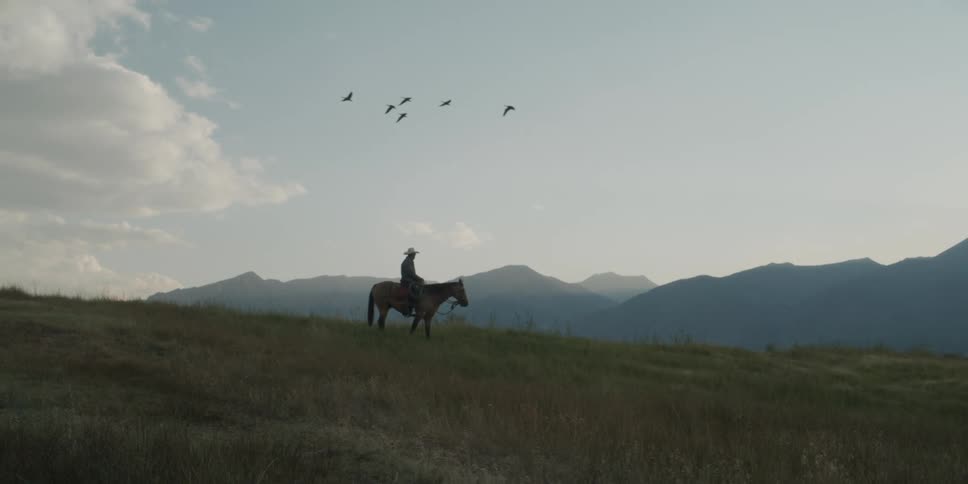 A lone cowboy sits mounted on his horse silhouetted on a grassy hilltop overlooking a distant mountain range while a flock of birds flies across the wide sky