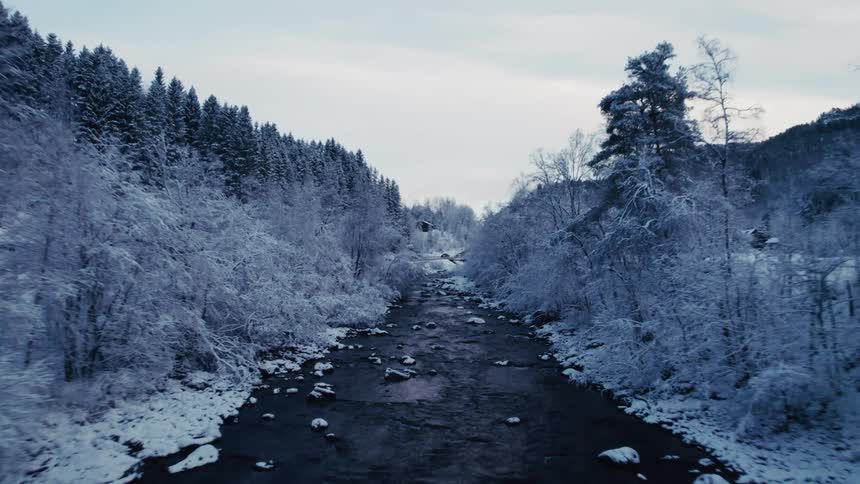 A river with a strong current of water in the middle of a forest in winter with white trees around