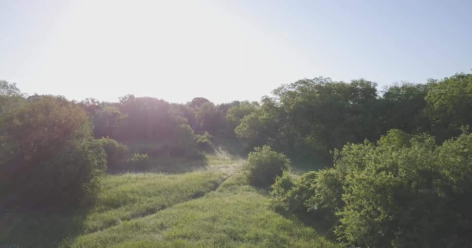 The green field leads to a forest below