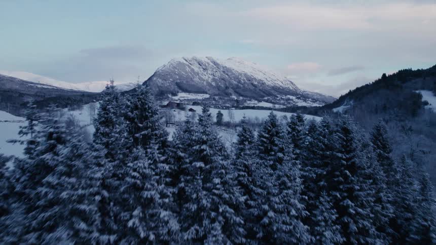 A car driving on a road where there is a pine forest with a mountain in the background in an environment full of snow