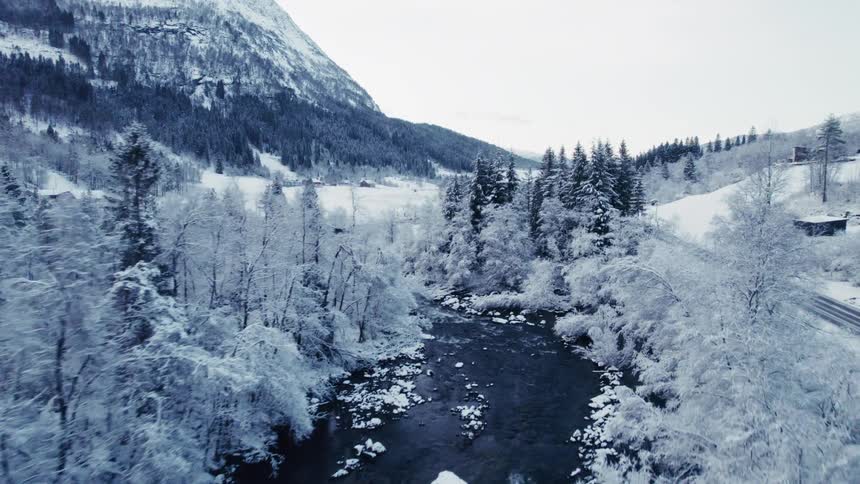 A stream with several rocks inside the river and pine trees back in an environment that is all snowy