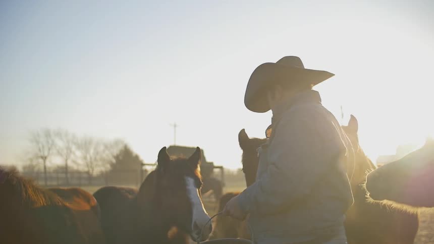 A rancher is using a bucket to feed a group of horses