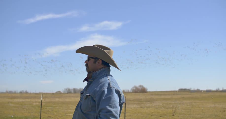 A man wearing a cowboy hat stands in a field as birds fly by