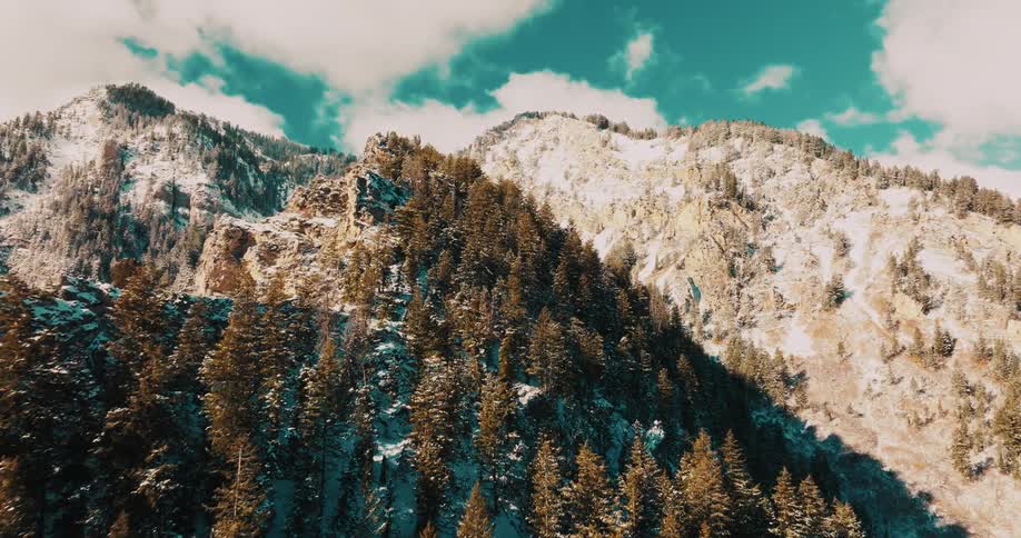 A wide shot of snowcovered mountains and dense evergreen forest beneath a bright midday sky