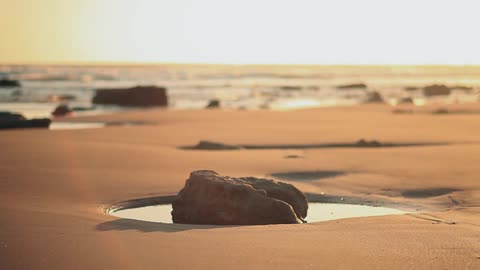 A close up view of a rock on the beach in a puddle of water