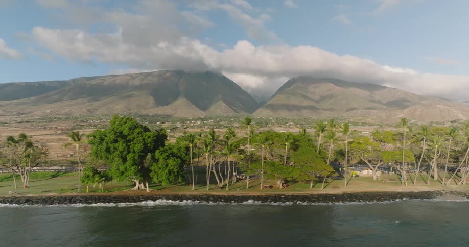 A beach with coastal trees wavebreaking rocks and two mountains in the background