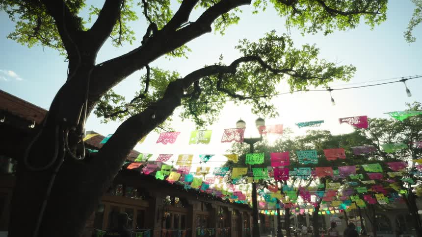 Street decorations are set up in preparation for a carnival with a row of trees lining the street at midday