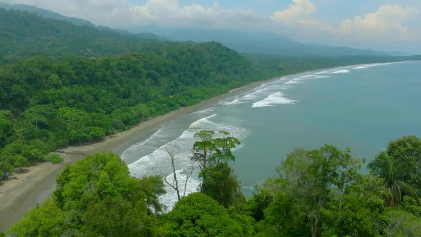 An island with a beach and a large forest along the coast