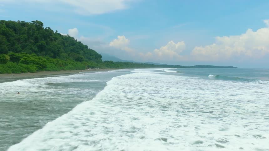 A beach with waves a forested area along the coast and swimmers at the shoreline