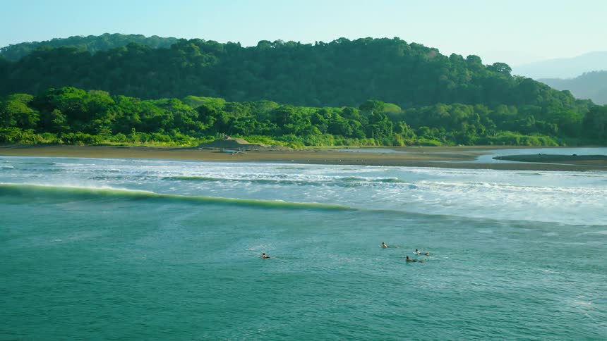 Four people in the sea lying on their surfboards paddling with a tropical forest in the background