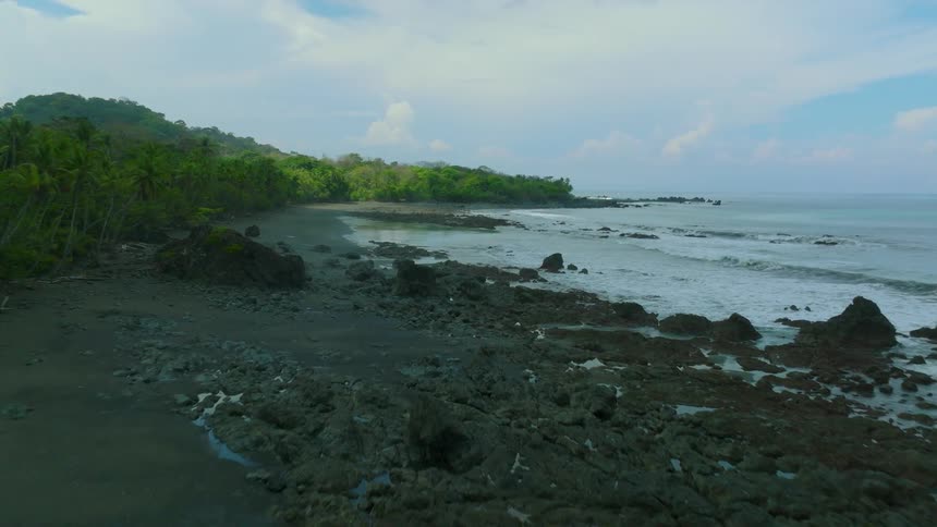 Waves roll into shore and over rocks along the forested coast under a cloudy sky