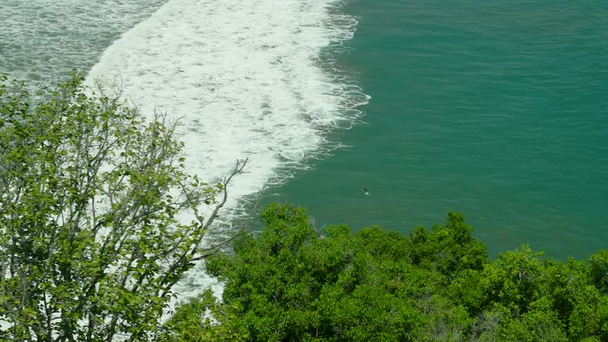 Waves pass the trees on the shore