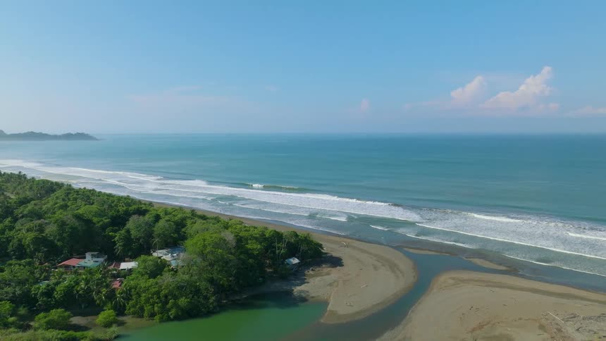A beach is surrounded by trees and vegetation as ocean waves hit the shore