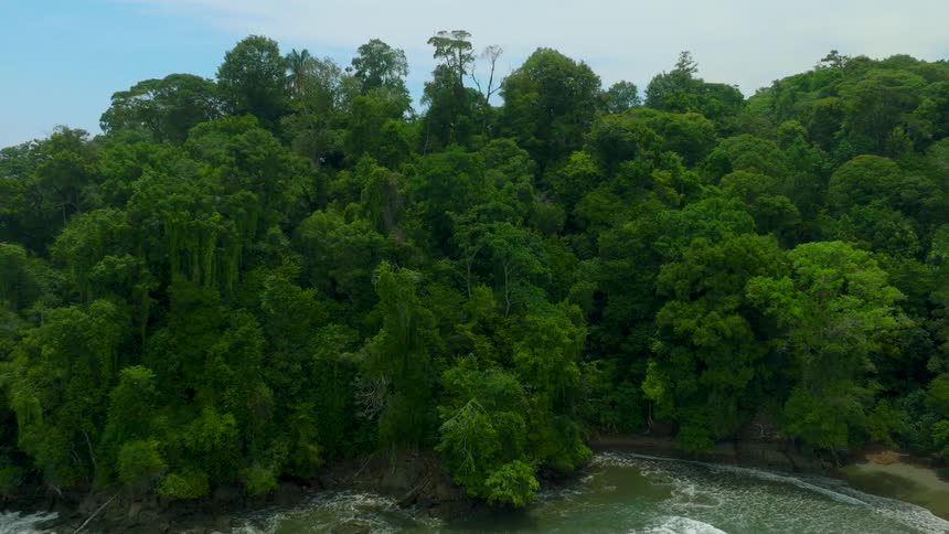 Aerial beach shoreline then over trees revealing a secluded cove