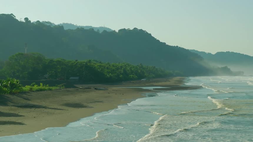 A beach with a large strip of sand and small waves reaching the shores that is full of vegetation