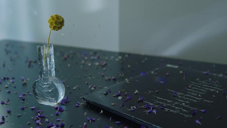 A yellow flower in a glass vase sits on a dark surface as purple petals fall and scatter around it