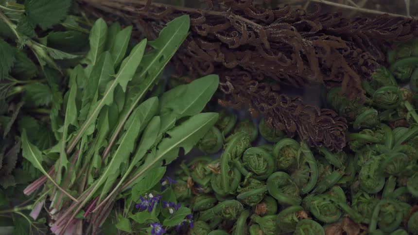 Herbs are tossed in a pile