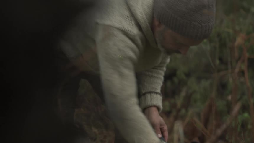 Older man forages in the forest on an autumn day