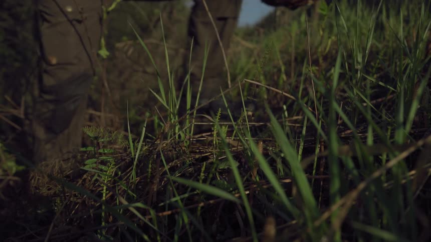 A person kneels to pick small plants from the ground placing them in a basket before standing and walking out of frame