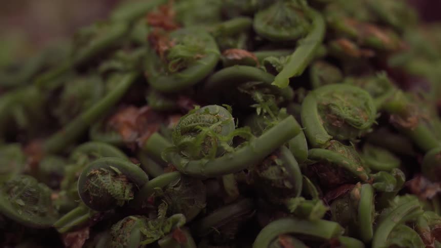 A large pile of herbs is outside