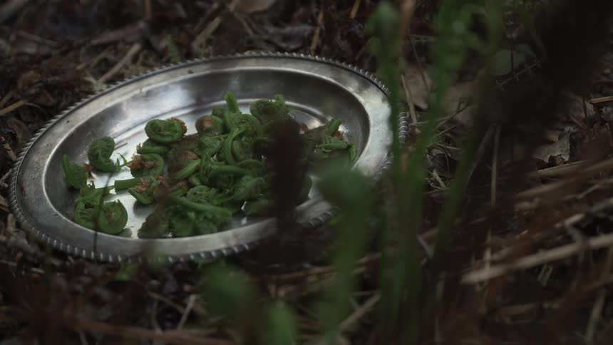 Herbs are added to a silver plate