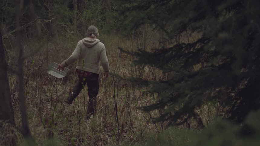Older man carries a clear bin while foraging in the forest on an autumn day