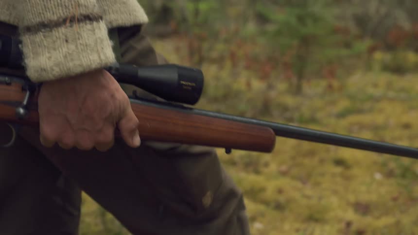 A hunter walks through an evergreen forest while carrying a rifle