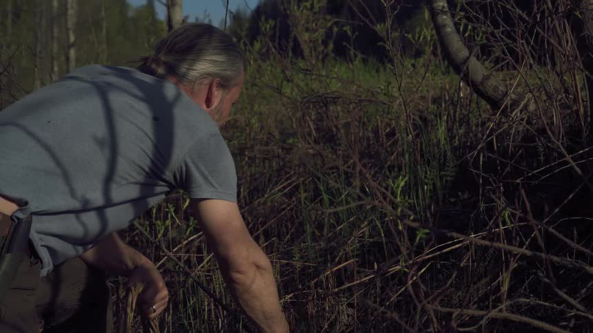 A man is harvesting from dried up dead vines in a field