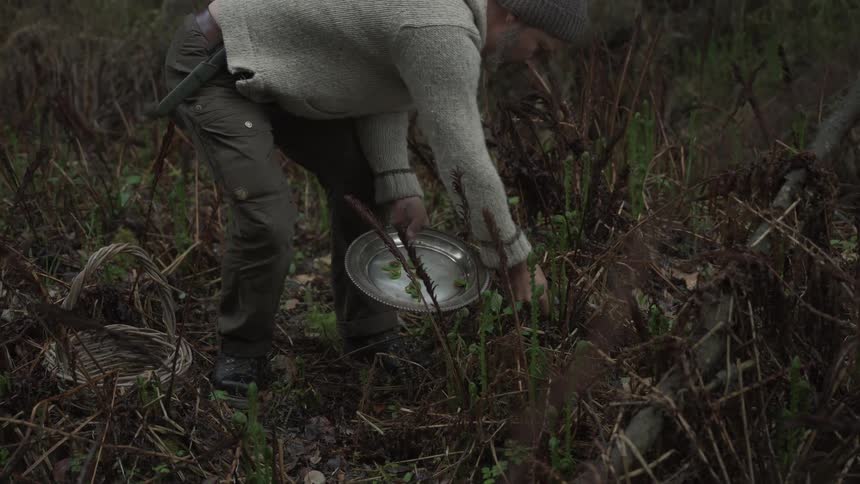 A man is harvesting from dried up vines