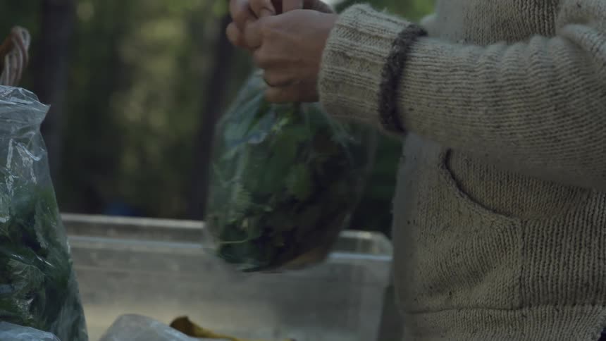 A closeup of a man in a sweater placing leafy greens into a plastic bag on a table in a forest
