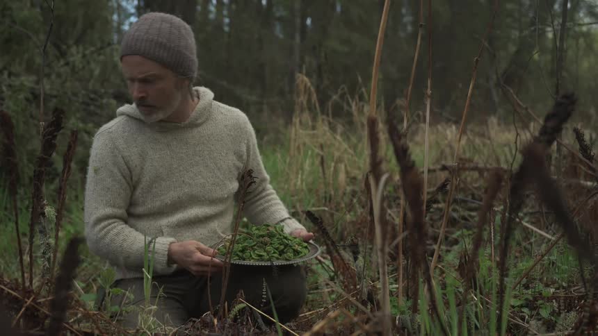 Man with a pot kneeling in a rural area and picking up plants
