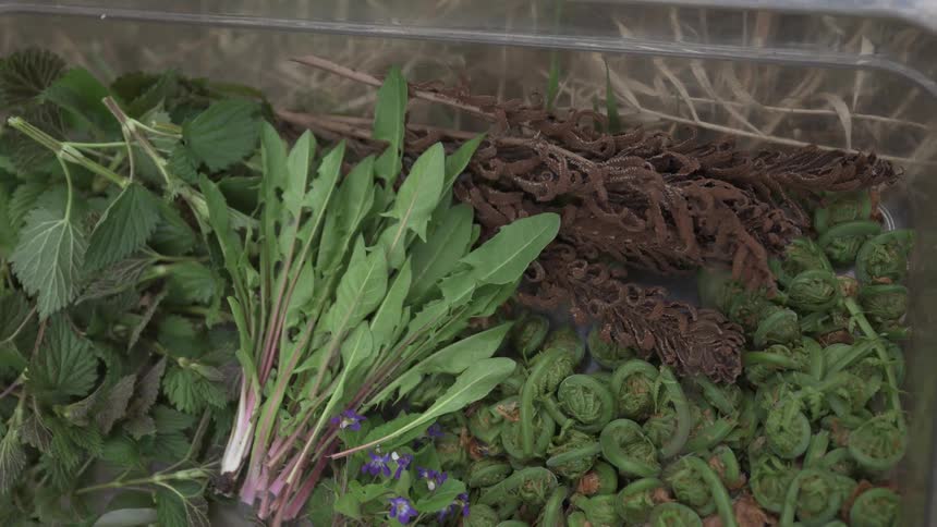 The container is full of vegetables and herbs