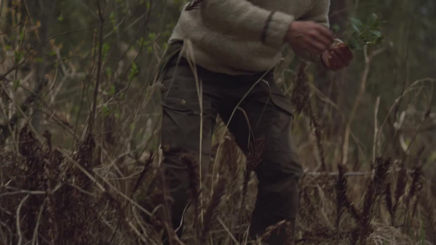 Man gathering herbs from vegetation in the wilderness