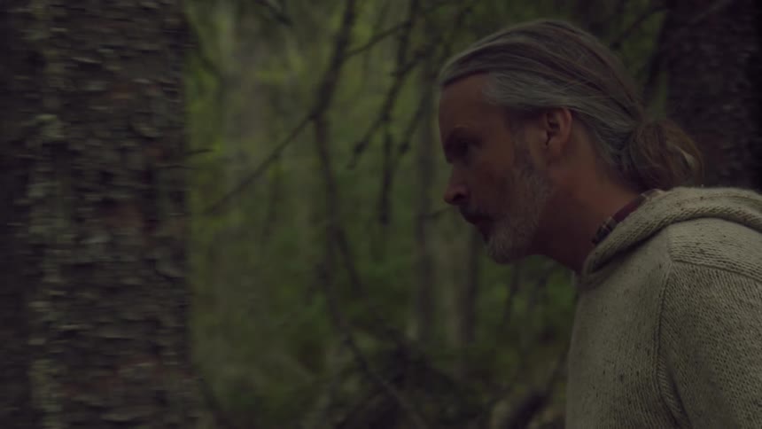 A man is walking past the trees in the forest
