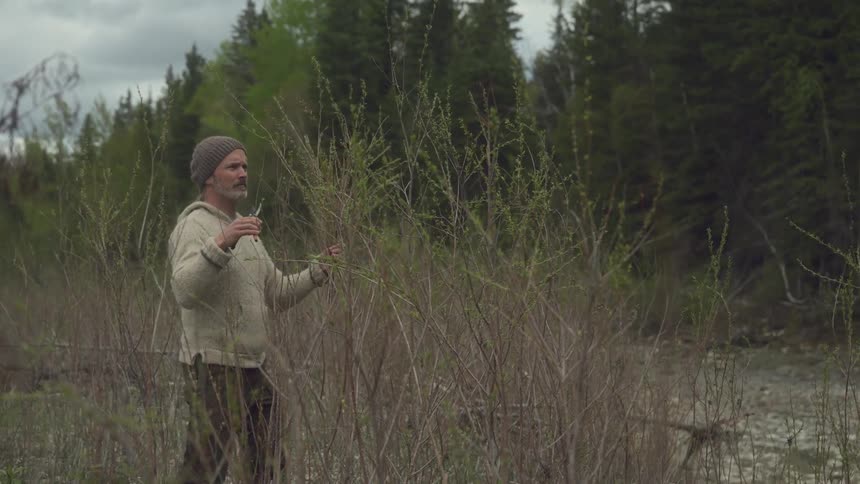 A man cuts tall wild plants with garden shears in a forest clearing