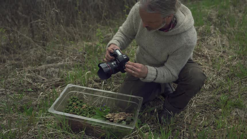 A person crouches in a grassy field photographing a container of foraged wild plants and mushrooms