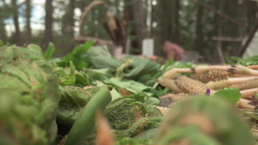 Vegetables are in a pile by the campsite