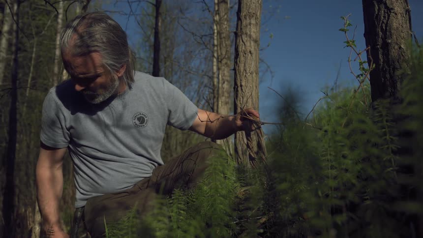 A man is in the forest at midday carrying a basket he stands up after searching through a plant