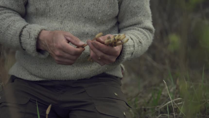 Man in wool sweater holds a bundle of wild shoots picked in the field