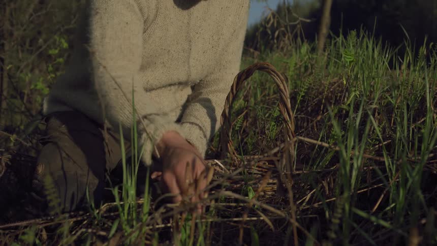 A man is picking herbs and putting them in a basket