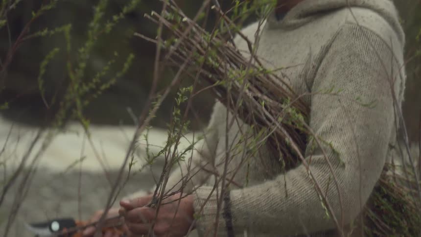 Man cutting dried birch twigs into kindling bundle in the wilderness