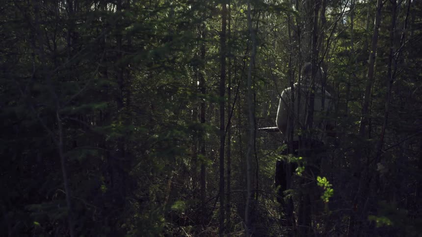A man is slowly making his way through a thick grove of trees in a forest