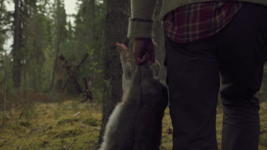 The hunter is carrying dead bunnies and a rifle through the forest