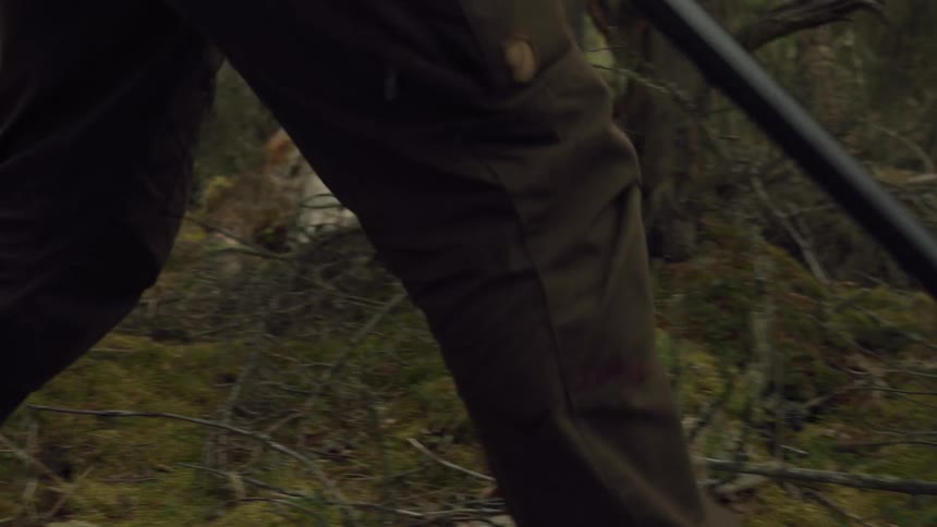A person carrying a rifle walks through a dense dimly lit forest