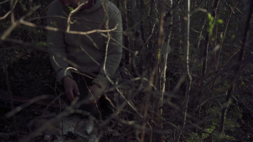 The hunter gathers a dead rabbit in the forest