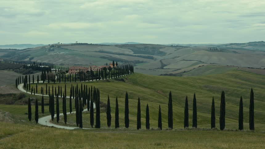 A winding road lined with tall slender cypress trees leads to a rural building complex nestled in the rolling hills