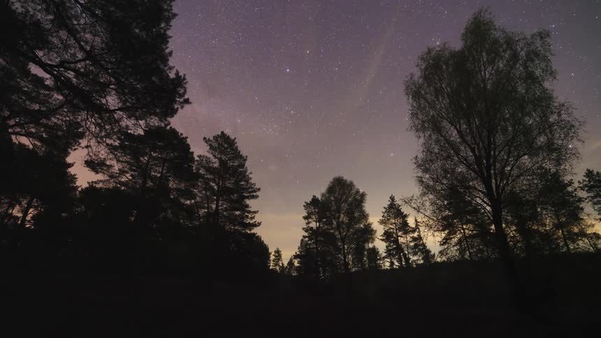 Wooded area with the sky dusk and dawn